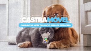 Castramóvel
