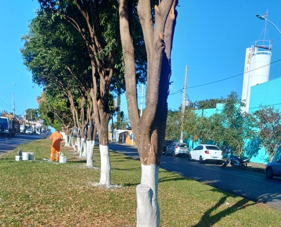 Prefeitura
