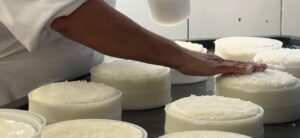 Queijo
