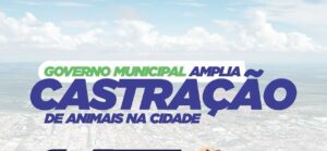 Castração Animal