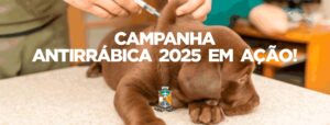 Vacinação