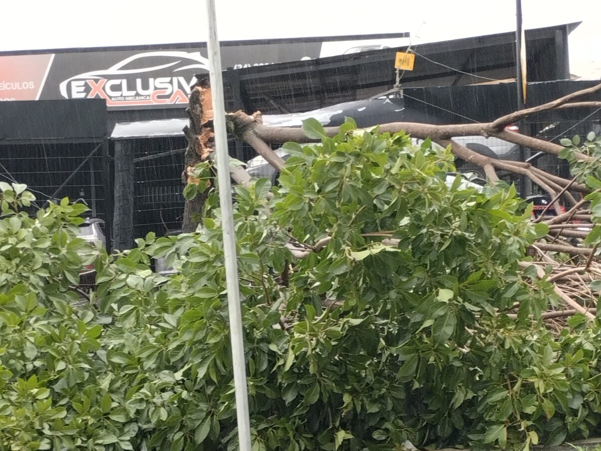 WhatsApp Image 2025 12 29 at 14.12.09 edited