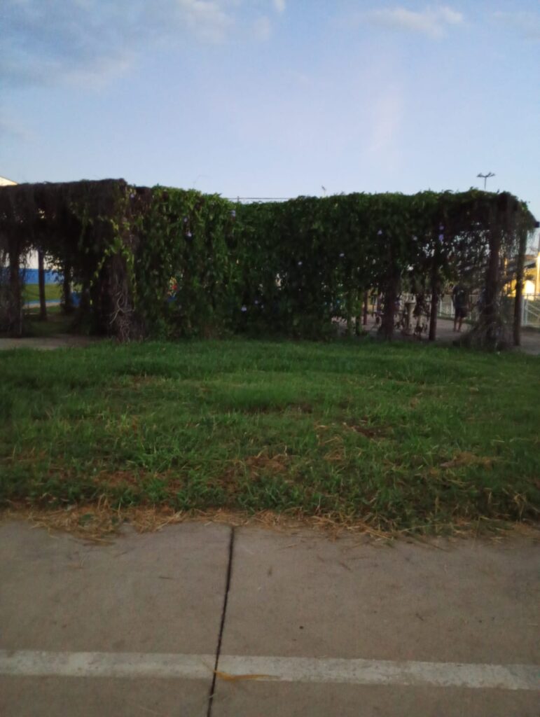 WhatsApp Image 2026 04 22 at 13.30.44