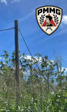 WhatsApp Image 2026 04 28 at 12.25.19