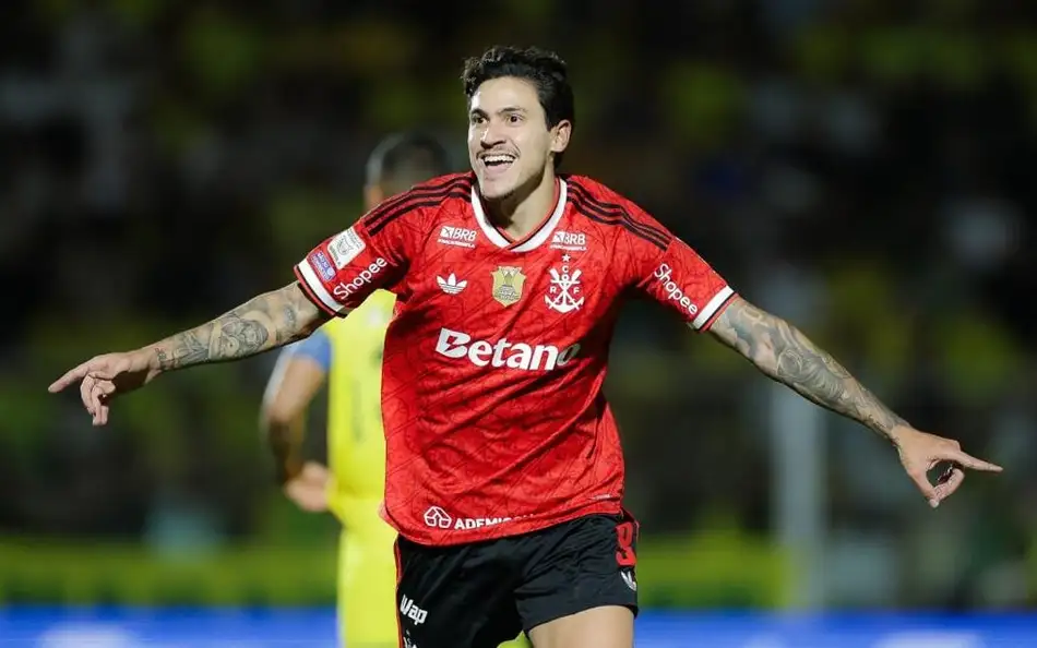 Pedro comemora o gol marcado pelo Flamengo na vitoria sobre o Mirassol pelo Brasileirao aspect ratio 512 320