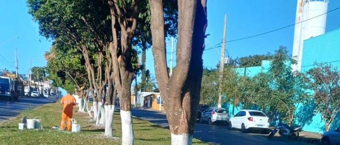 Prefeitura