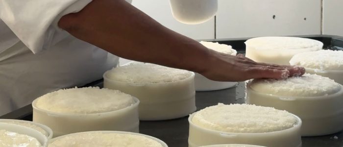 Queijo