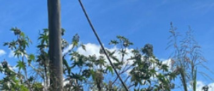 WhatsApp Image 2026-04-28 at 12.25.19