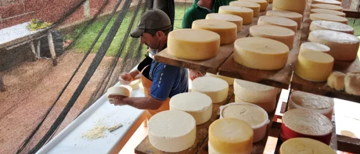 queijo minas